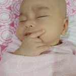 jep sepahtu 3