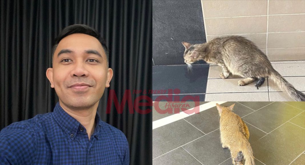 “Dia Dah Lahirkan Seekor Tapi Tak Keluar Habis,” - Bangkai Anak