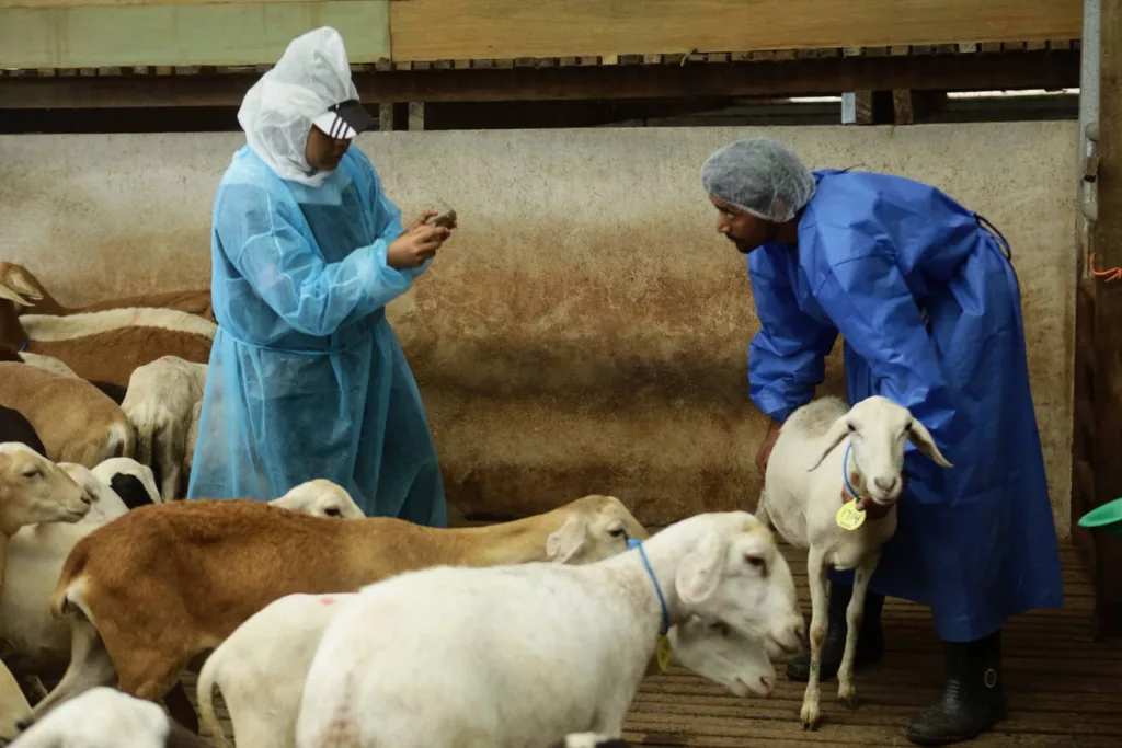 Karnival Bebiri Fest 2025 Meriah, Bukit Naning Semakin Menonjol Sebagai Destinasi Agro-Pelancongan Johor