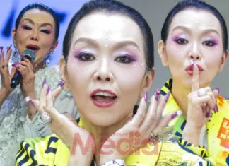 “Sementara Masih Larat, Doktor Izinkan Tapi…,” – Elaine Kang Bersebab Tak Jadi Tarik Diri GV12