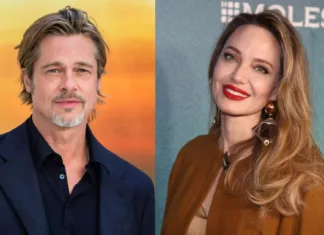 Brad Pitt Saman Angelina Jolie Berhubung Penjualan Kilang Wain
