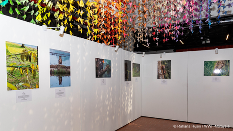 ‘Eyes on the Wild’ Raikan Keindahan Alam, Pameran Foto WWF-Malaysia Kini Di The LINC KL