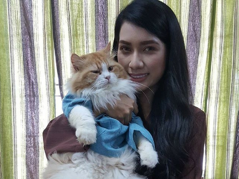 Zara Zya Belanja RM3,000 Sebulan Untuk Kucing - Media Hiburan